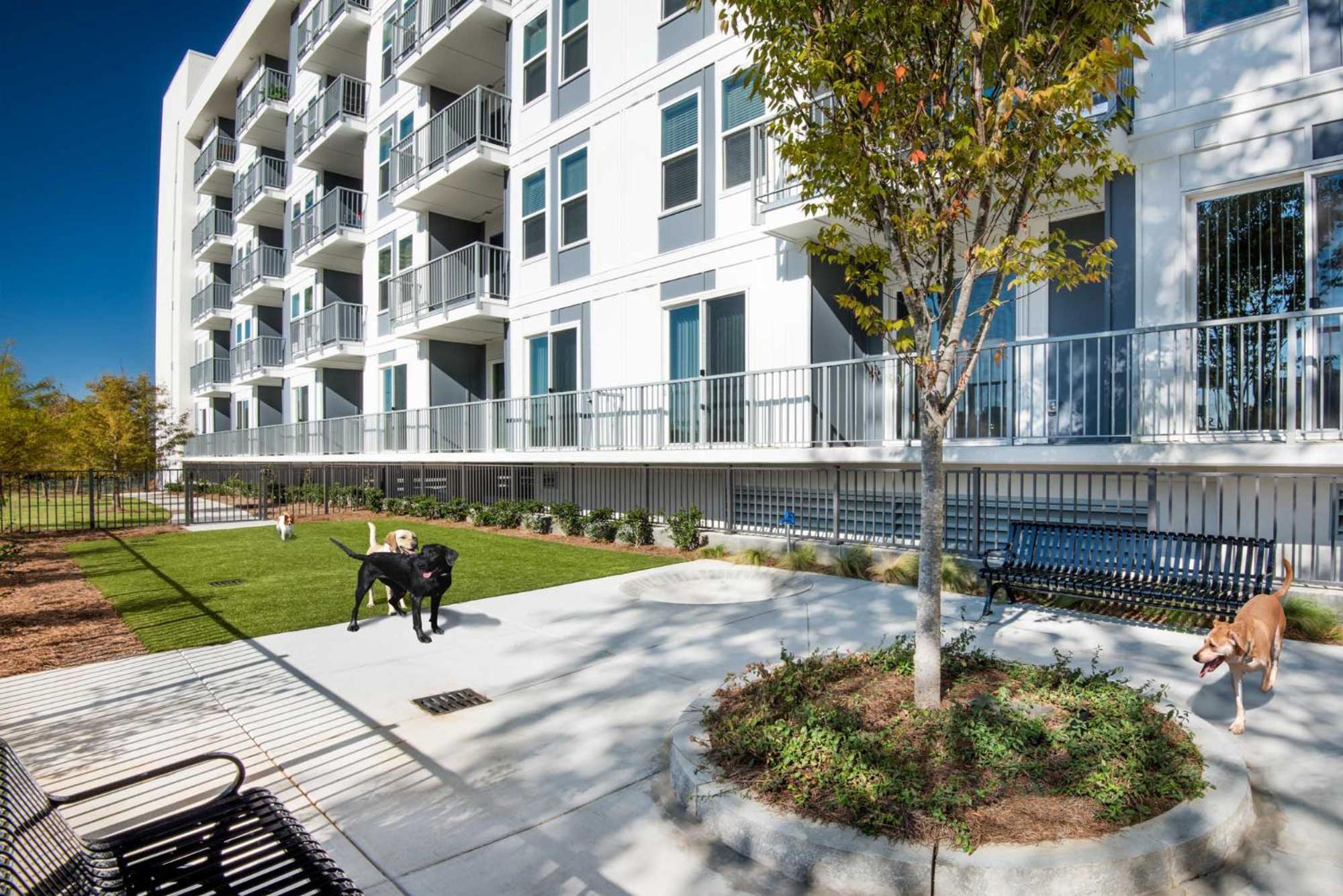 Spectacular Apartments By Bca Furnished Apartments アトランタ 部屋 写真